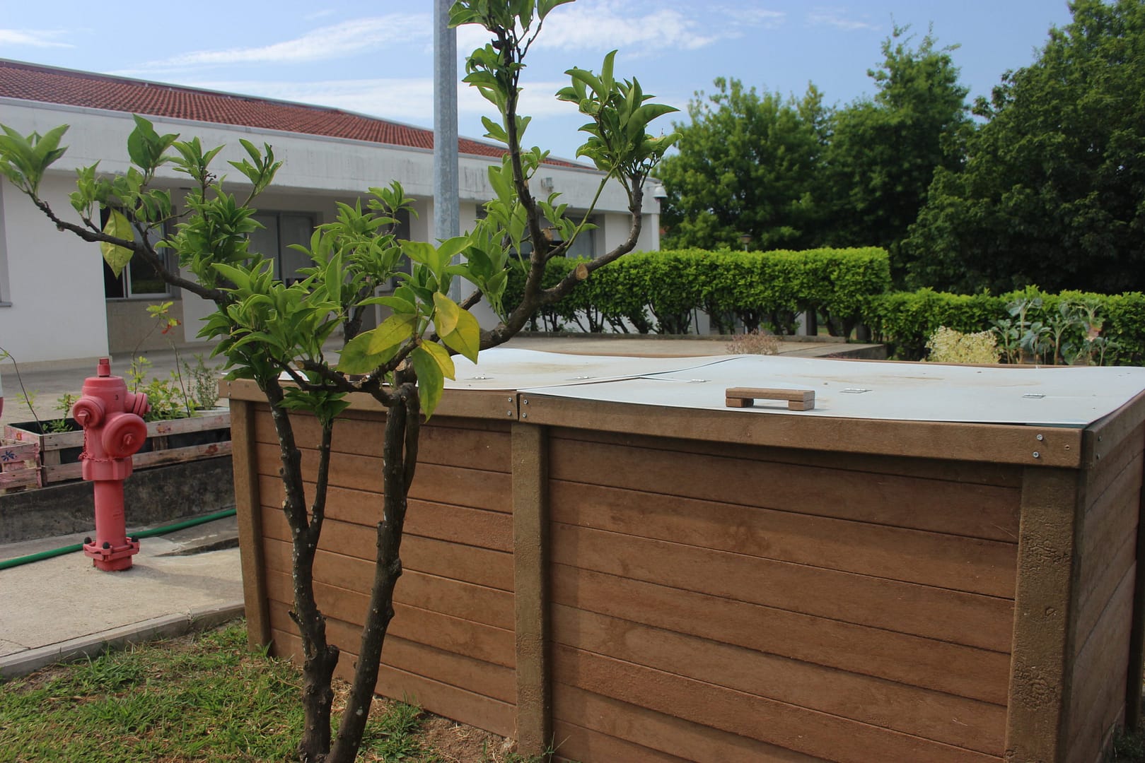 Vermicompostor - banco - Image 2