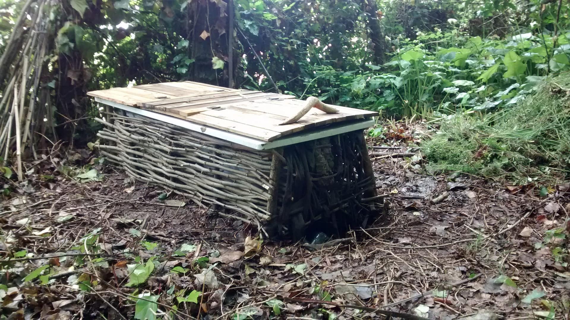 Vermicompostor - banco